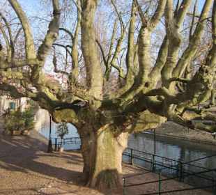 Altstadt Straßbourg