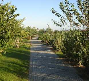 Strandpromenade vor dem Hotel
