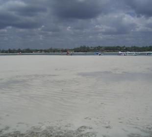 Ausflug Glasbodenboot Diani Beach