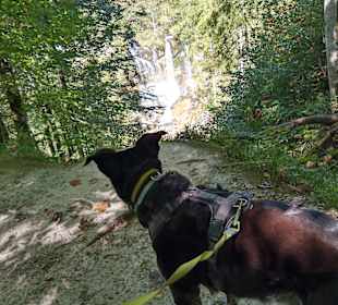 Wandern Inzell