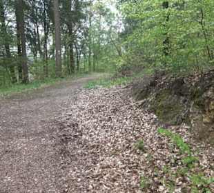 Premiumwanderweg Hochgebürzelt