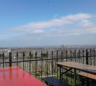 Mandelblütenfest Gimmeldingen