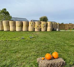 Krewelshof  Kürbisschau 2022 (Wundersame Waldwesen