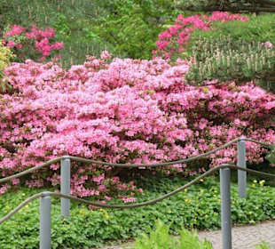 Planten und Bloomen Freizeitpark