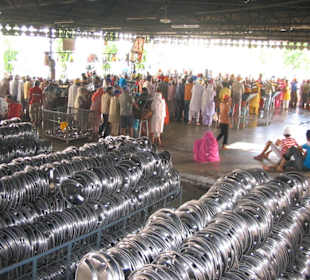 Essensausgabe - gläubige Sikhs im Tempelbereich