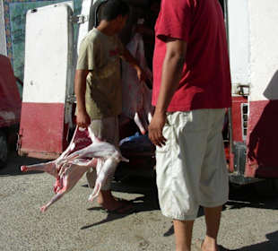 Mittwochsmarkt in Zarzis