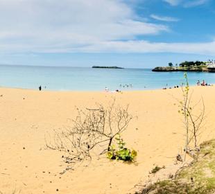 Strand Las Terrenas