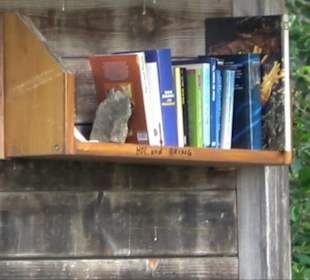 Sonnenaufgangs-Rundwanderung Rübgarten