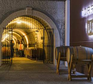 CAVA Josefa