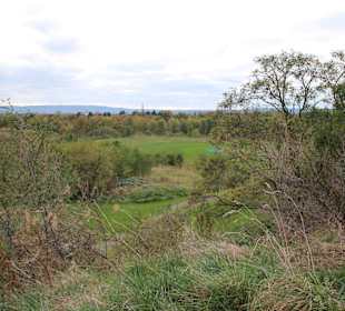 Blick auf das Golfgelände von oben