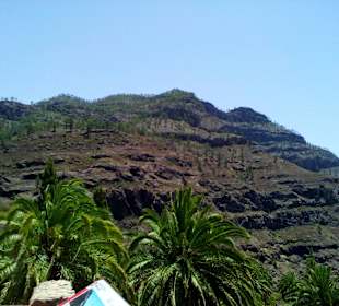 Bergwelt in Gran Canaria