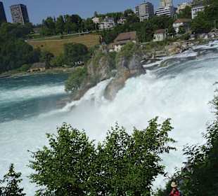 Am Rheinfall