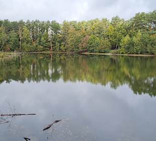 Untere Allerniederung bei Boye 