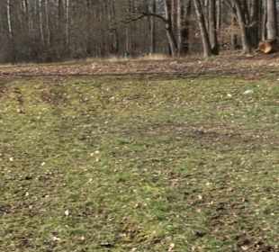 Grillplatz Tellerhecke