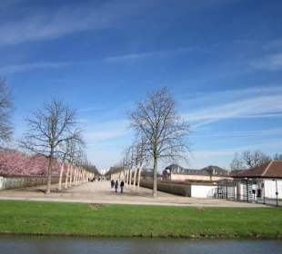 Schlossgarten Schwetzingen