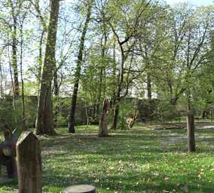 Unterer Schlossgarten Stuttgart