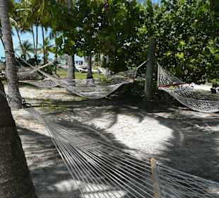 Coco Cay Beach