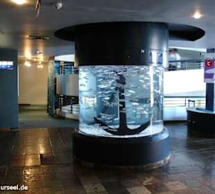 Two Oceans Aquarium
