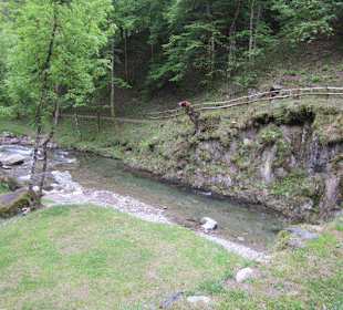 Forellenfarm und Agriturismo Punt di Reseg