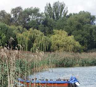 Reichenau-Ufer