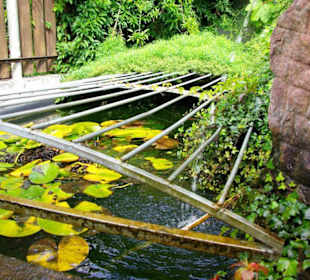 Ritteressen das Original in Uffenheim