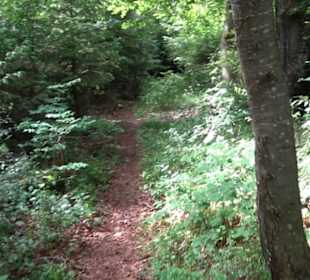 Premiumwanderweg "hochgehackert"