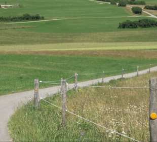 Ruine Hohengenkingen - Genkingen