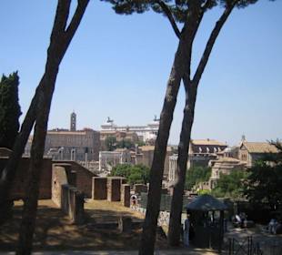 Blick über das Forum