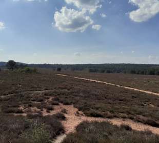 Mehlinger Heide