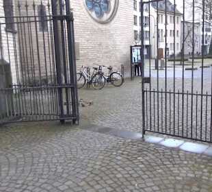 St. Gereon