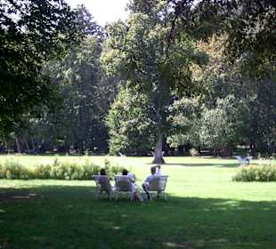 Uralter Baumbestand im Kurpark