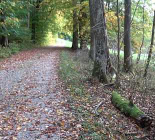 Wanderung Felsen Sankt Johann