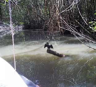 Flussfahrt