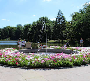 Łazienki królewskie, park