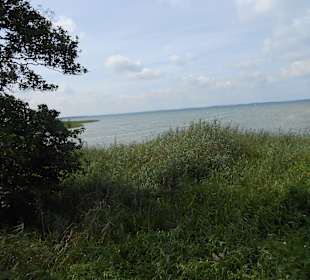 Blick vom Aussichtsturm bei Boek