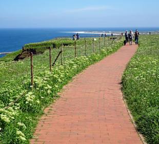 Weg auf dem Oberland