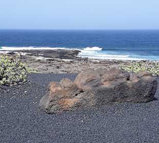 Inselrundfahrt AIDA Tagestour