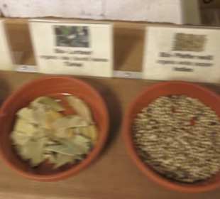 Spicy's Gewürzmuseum