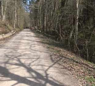 Geologischer Lehrpfad Kirnbachtal