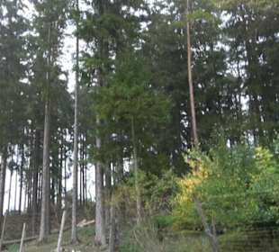 Erlebnisbauernhof und Wildgehege