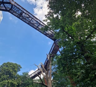 Treetop Walkway