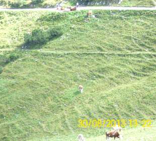 Von der Alm aus gesehen