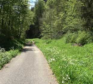 Magolsheimer Buchtalweg