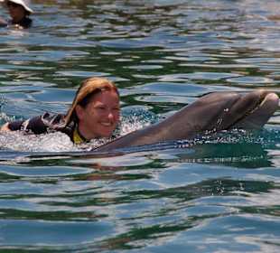 Delfinschwimmen im Discovery Cove Park
