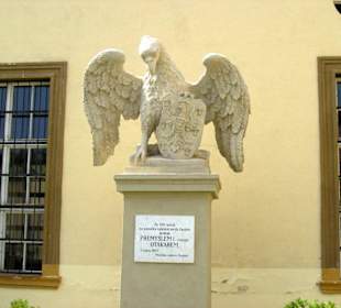 Adler mit Stadtwappen