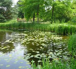 Eindrücke vom Rundgang durch den Park der Gärten