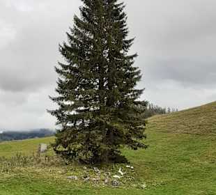 Wandern Rossleithen