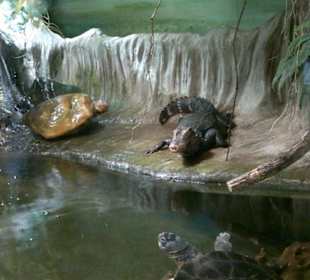 Zoo Brno
