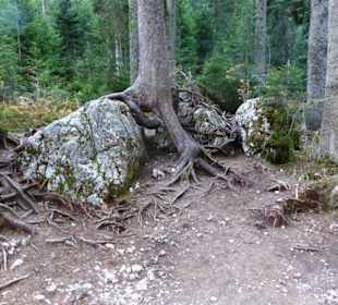 Karersee