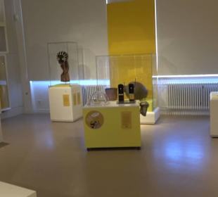 Museum Natur und Mensch